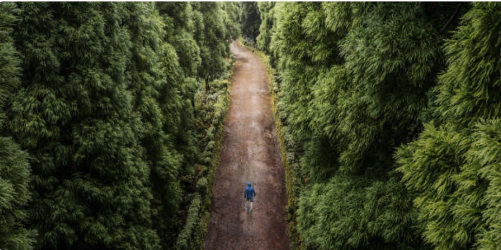 Sample wilderness scene