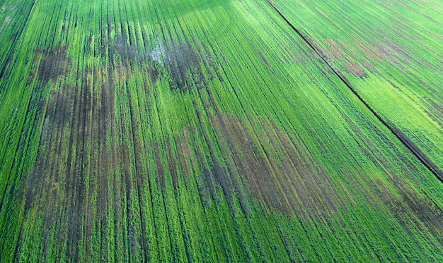 Sample agricultural field